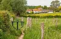 Stegelkes in het Zuid-Limburgse landschap van John Kreukniet thumbnail