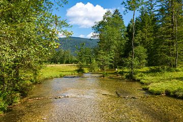 De Falkenseebach bij Inzell van Peter Baier