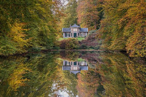 Our house in the middle of the forest