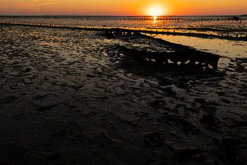 Waddenzee, zonsopkomst bij Paesens Moddergat (Scheepswrak van Wierum)