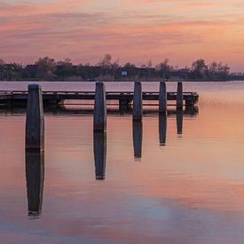 Reed Puddle, Emmen by Rene Mensen