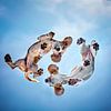 Yin yang Beagle puppies by gea strucks