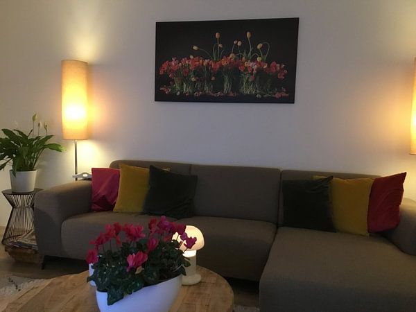 Customer photo: Tulips from Holland by Dirk Verwoerd, on canvas