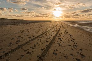 Sporen in het Noordzeestrand van Vlieland