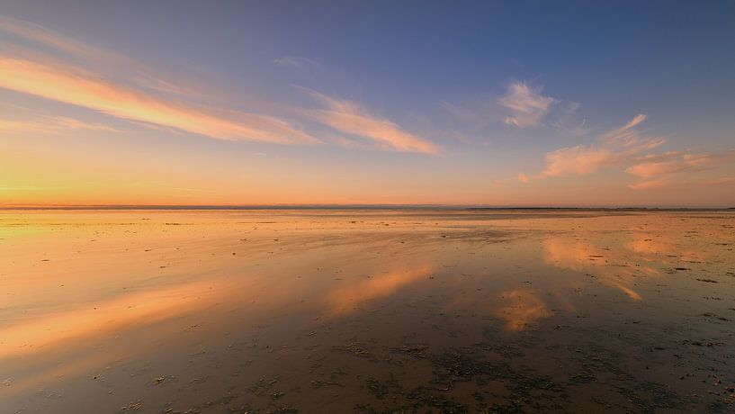 Spiegelbeeld van Bregitte van Haaren