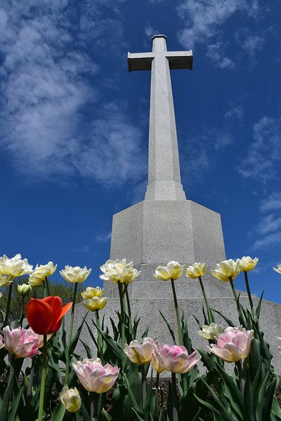 La croix du sacrifice au printemps par Claude Laprise