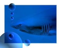Unterwasser