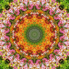 Kitchen Court sur Frans Blok - des photos, de l'art et des autres décorations murales