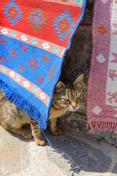 Kat verstopt achter tapijten op Karpathos (Griekenland) van Laura V