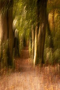Lebendiger Wald in goldenem Glanz