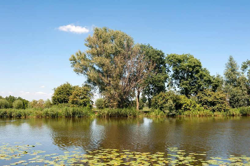 Amstel Rivier van Richard Wareham