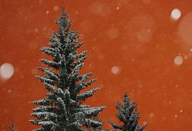 Oranje nacht by Alexander van der Sar