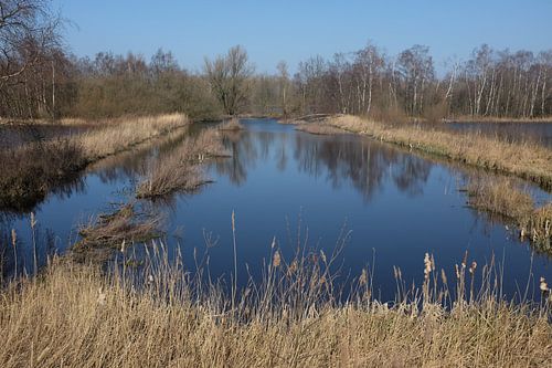 Het Nieuwe Meer - Amsterdam