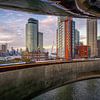 La plus belle vue de Rotterdam, une vue depuis le Tornado sur le toit du musée FENIX sur Leon Okkenburg
