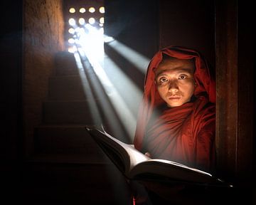 Buddhist Monk from Myanmar by Tim Kreike