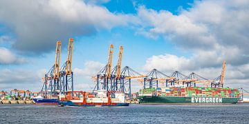 Containerschepen bij de containerterminal in de haven van Rotterdam