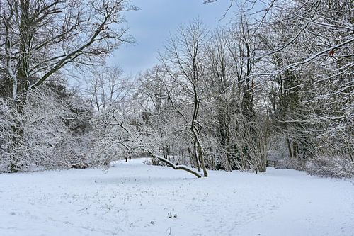 Winterse Weidsheid in het Rivierenhof