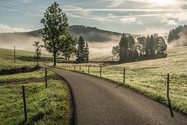 La Forêt-Noire idyllique en automne sur Conny Pokorny