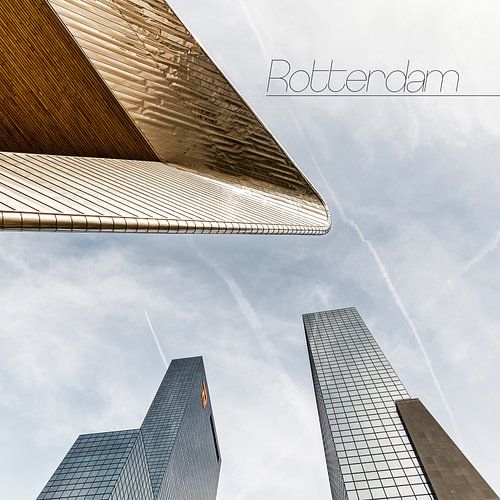 Station in Rotterdam by Rob van der Teen