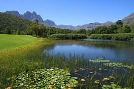 Postcard, Stellenbosch Zuid-Afrika  by Jan Roodzand