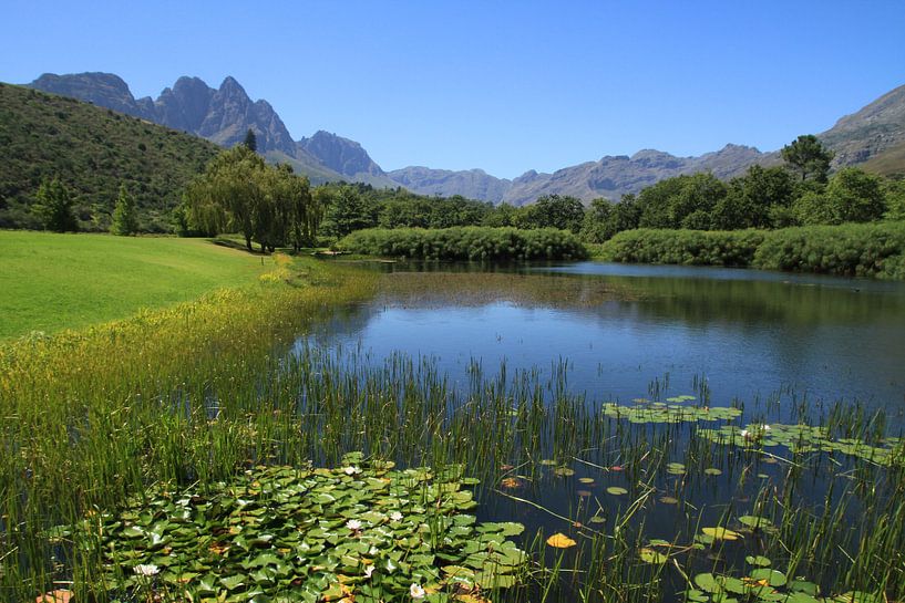 Postcard, Stellenbosch Zuid-Afrika  by Jan Roodzand