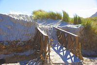 Dune Bridge
