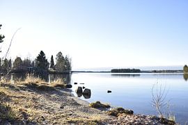 The cold lake
