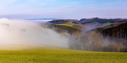 Mistige ochtend in het Sauerland, Duitsland
