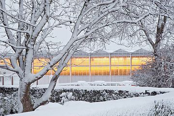 Une serre horticole avec des lampes de culture orange entourée de neige blanche. sur Gert van Santen