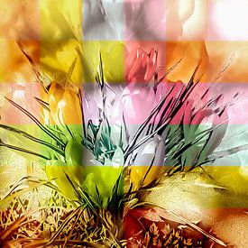 Krokusse in „ '“ im Frühling, abstrakt von Helga Blanke