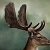 Tête de cerf sur Anouschka Hendriks