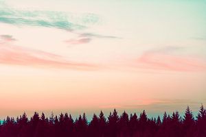 Sonnenuntergang über den Pines, Nature Magick  von PI Creative Art