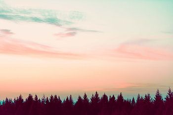 Sunset Over The Pines, Nature Magick 