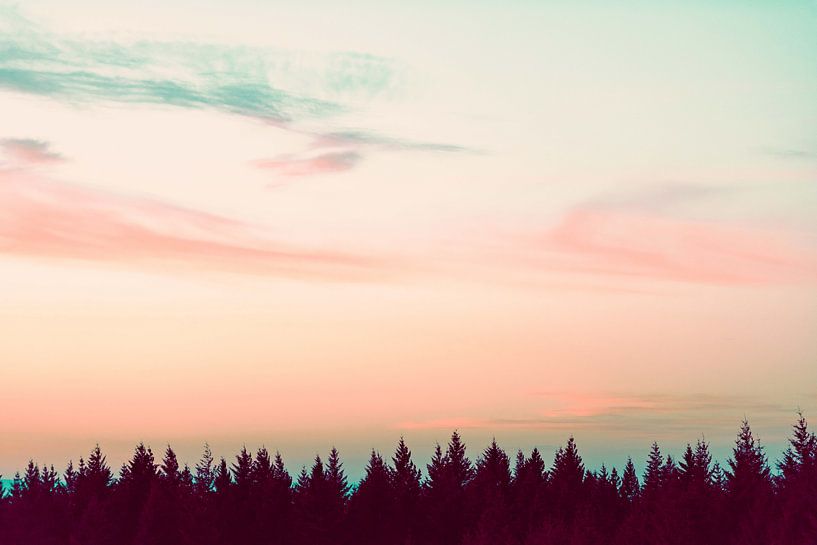 Sonnenuntergang über den Pines, Nature Magick  von PI Creative Art