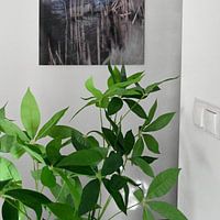 Photo de nos clients: Photographie abstraite | Abstrait moderne | Urbain | Pont sur une fine couche de glace par Art. by Janine