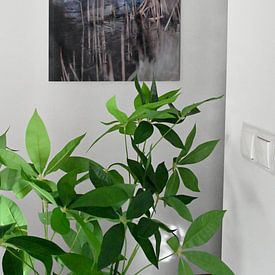 Photo de nos clients: Photographie abstraite | Abstrait moderne | Urbain | Pont sur une fine couche de glace par Art. by Janine