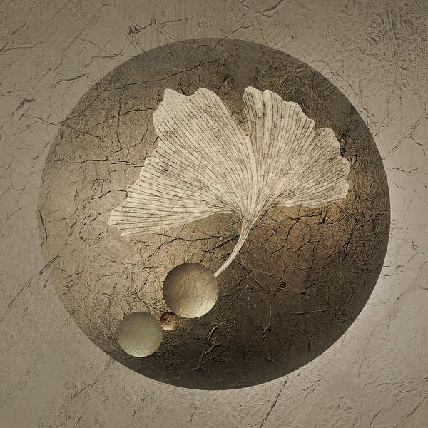 Playing along 2. Ginkgo leaf. by Alie Ekkelenkamp