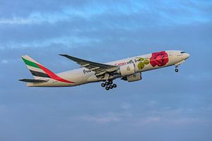 Emirates SkyCargo Boeing 777F mit Red Rose-Lackierung. von Jaap van den Berg