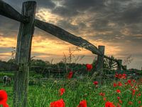 Fence at sunset