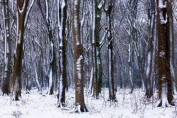 Bomen in winter van Thijs Friederich