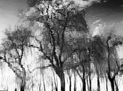 Tree Magic 78 van MoArt (Maurice Heuts) thumbnail