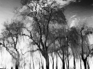 Tree Magic 78