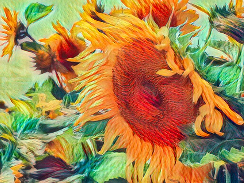 Le tournesol représente le bonheur, l'amour, la confiance, l'admiration, la force et le soleil. par Anja Oosterwaal Fine Art Fotografie