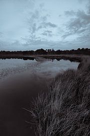 Strabrechtse Heide 281