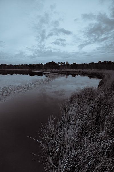 Strabrechtse Heide 281 by Deshamer