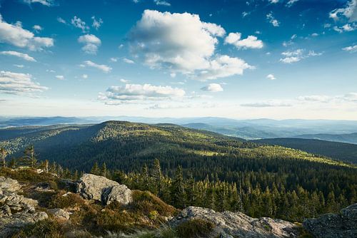 Verziendheid van de Großer Arber in het Arberland