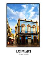 Die Palmen von Gran Canaria