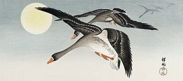 Vögel bei Vollmond, Ohara Koson