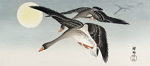 Vogels bij volle maan, Ohara Koson