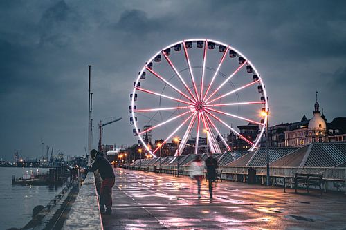 Grande roue aux quais de l'Escaut Anvers la nuit | Photographie de ville | Photographie de nuit